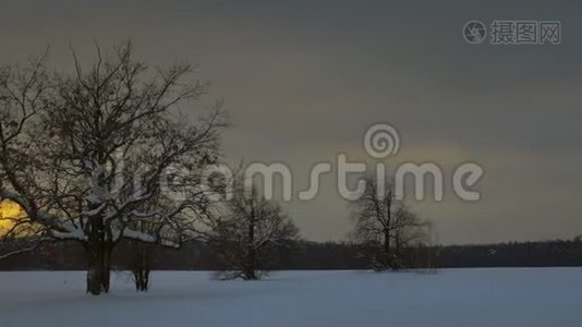 孤独的树木站在冬天的田野里，背景是橙色的日落。视频