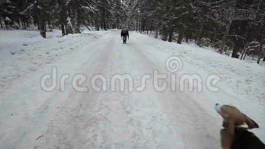 狗比格犬在雪地里奔跑。一对可爱的年轻时髦夫妇在阳光明媚的日子里和他们的狗在冬季公园玩得很开心视频