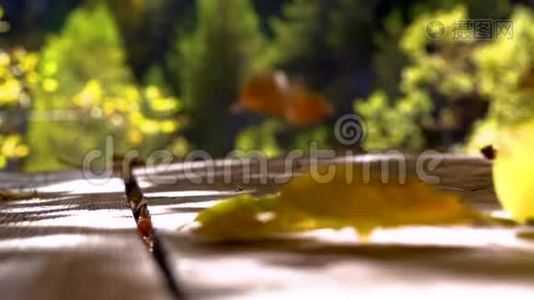 风吹秋叶在木地板上.. 七彩秋叶慢动.. 风吹落落叶.. 秋天。 彩色视频
