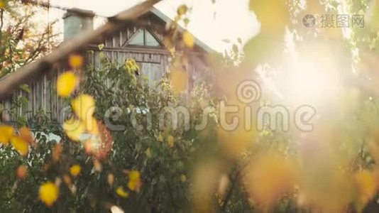 秋叶和阳光背景下有烟囱的农村房子的立面。视频