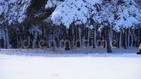 一辆汽车在冬天的森林里行驶在雪道上。 慢动作视频