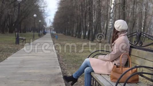 年轻人从公园的长凳上偷`一个女人的包视频