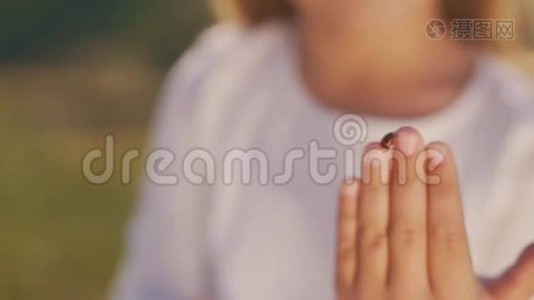 瓢虫在女孩`手指上视频