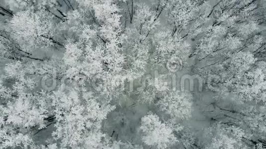 冬林有积雪覆盖的树木，动作缓慢，航拍..视频