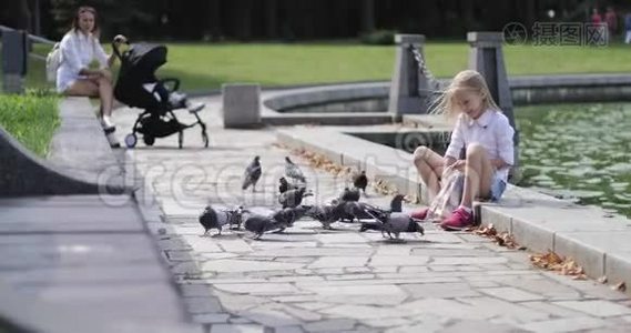 快乐的金发女孩在公园里喂鸽子。视频