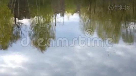 钓鱼浮在水面上。视频