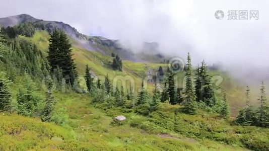 就在高山草地对面视频