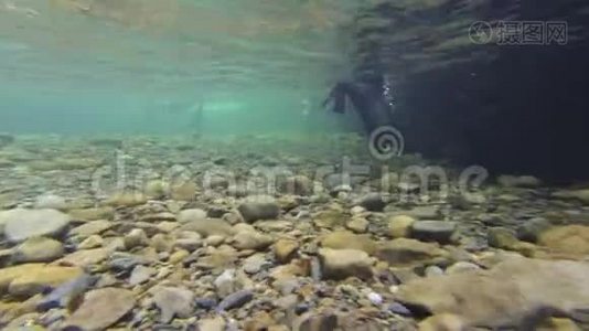 瓦胡岛瀑布海豹幼崽的水下景观视频