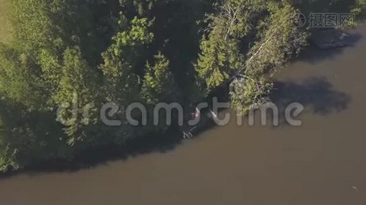 在温暖的夏日，木墩在河边被针叶树和落叶树包围的鸟瞰。 剪辑视频