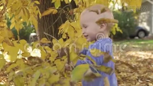 一岁的小可爱宝宝在秋天公园的树旁玩耍。 站在落叶上微笑视频