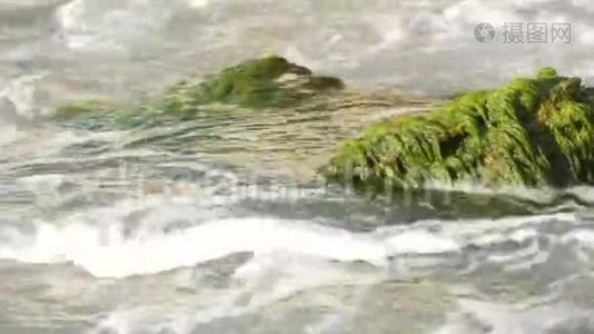 海中老石上长满绿藻.. 海水和海浪被石头冲刷视频