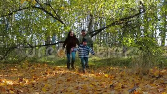 一家人穿过秋天的森林。 慢动作。视频