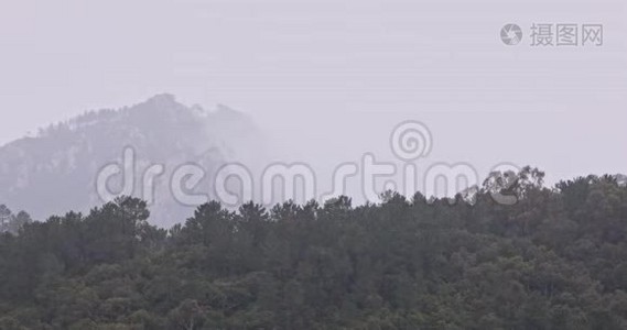 雨落在山上的森林上视频