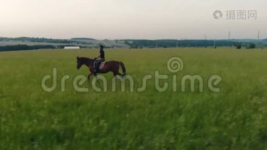 骑士骑着马小跑，俯视图。视频