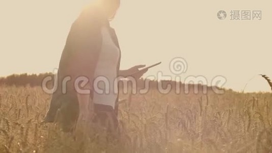 日落时分，一名妇女的特写镜头触及小麦胚芽，并在平板电脑中制作数据视频