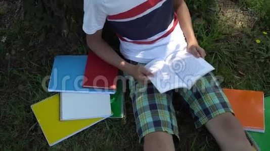 一个少年正坐在树旁的草地上看书视频