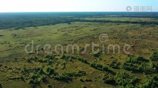 在阳光明媚的天气里，沼泽不可逾越的沼泽空中摄影视频