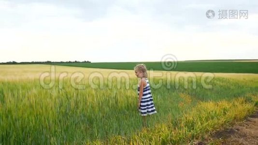 小女孩在田野里捉蚱蜢或蝴蝶视频