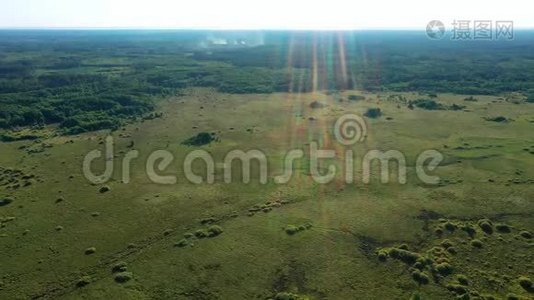 在阳光明媚的天气里，沼泽不可逾越的沼泽空中摄影视频