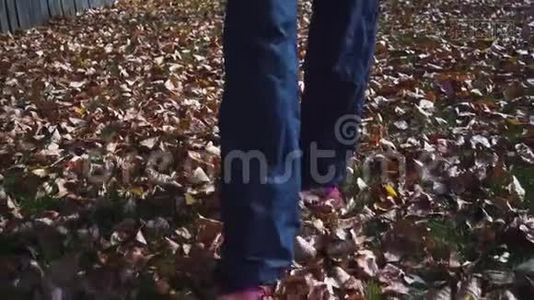女人的双腿在公园秋天的落叶上视频