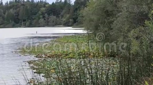 在朦胧的白天俯瞰夏季湖景海岸线视频