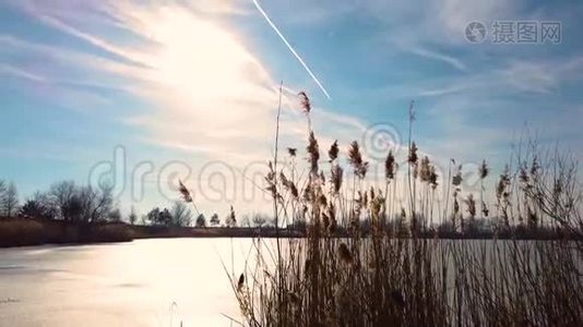 4冷冻湖上干芦苇的K视频。视频