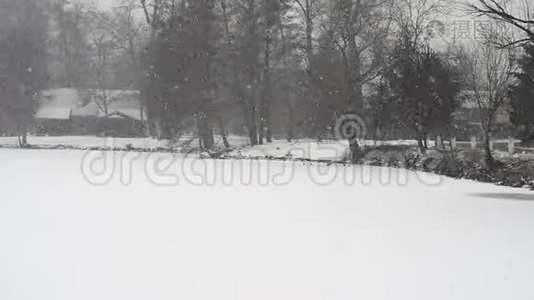 大雪期间的小池塘景色。视频