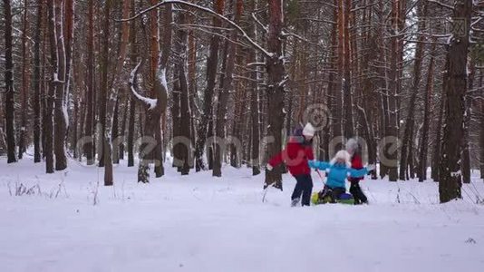 有趣的孩子骑着他们的母亲在雪橇和充气雪管在松林。 幸福的家庭妈妈和孩子们玩视频