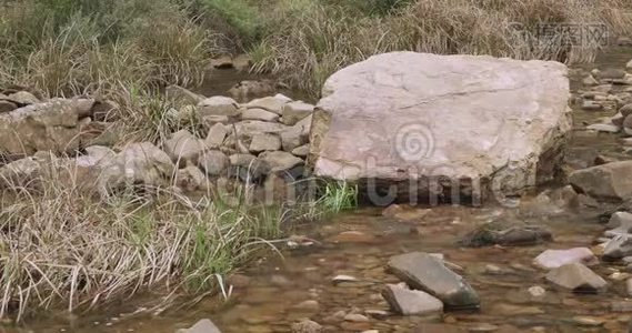 一条长着长草的岩石石溪，水流过一块大石头视频