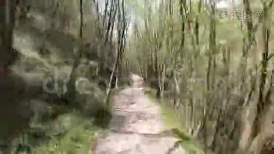 在意大利阿尔卑斯山的树林里的小径上徒步旅行。 春天的时候。 一般用途视频