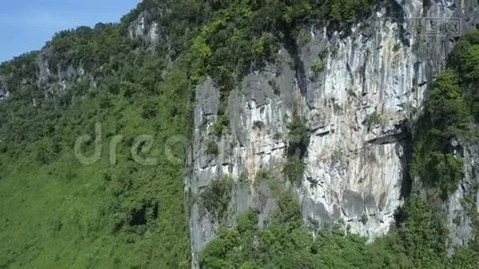 靠近空中灰白色石崖，上面有植物视频