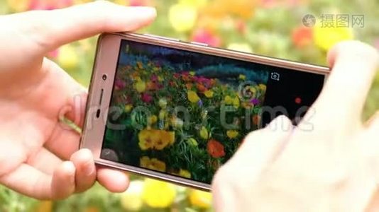 在智能手机上拍摄鲜花并按下手机屏幕特写视频