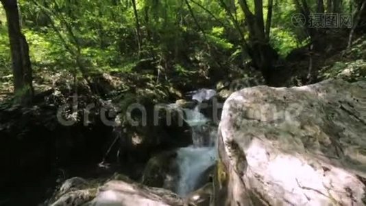 美丽的大自然，白色的山河急流流过茂盛的绿色森林，落在苔藓上视频