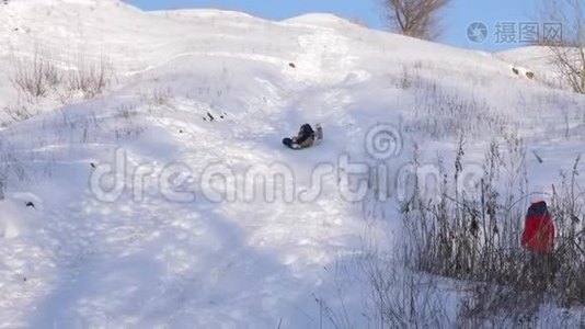 快乐的年轻女孩骑着雪橇在冬季公园从一个高雪山。 女孩笑着快乐。视频