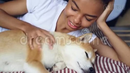 特写镜头爱狗主人抚摸可爱的宠物躺在床上，女孩抚摸着动物，抓着它视频