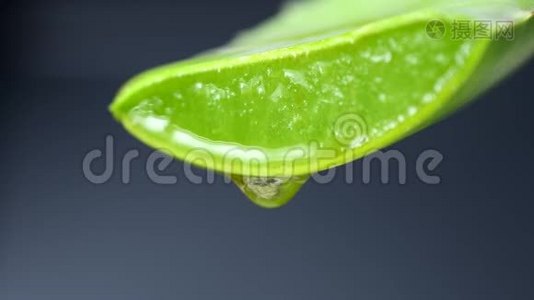 芦荟胶从芦荟植物绿叶中滴下的特写。 护肤，保健，保湿理念..视频