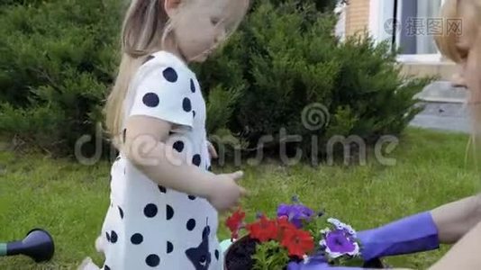 可爱的孩子帮妈妈把花再种进锅里视频