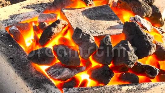 在1000度的锻炉中燃烧的焦化煤视频