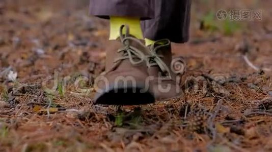 一个女人的腿沿着秋天的小径行走，游客在大自然中行走。视频
