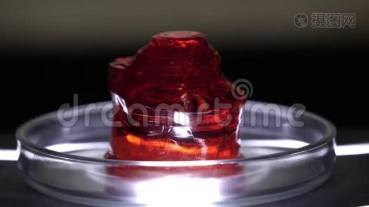 红色半透明矿物的特写。 实验室清洁玻璃杯上红色矿物样品。 宝石或未经处理的矿物视频