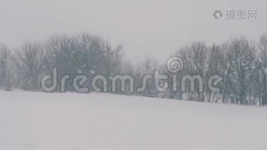 冬天的风景在森林和田野里，飘落着雪花。视频