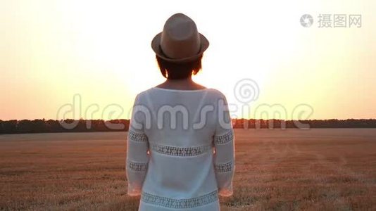 女孩站在麦田上，举起双手。 日落时分一个女人的剪影。视频