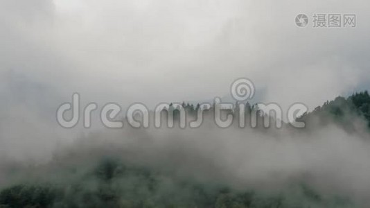 雾在山里视频