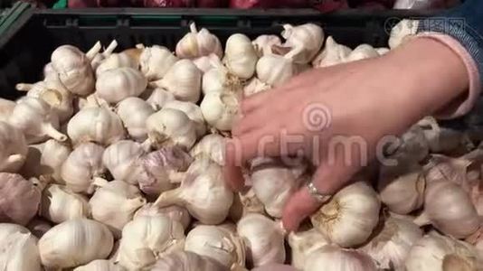 女人在食品市场上选择大蒜。 特写镜头。视频