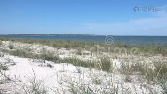 海湾的沙质海岸视频