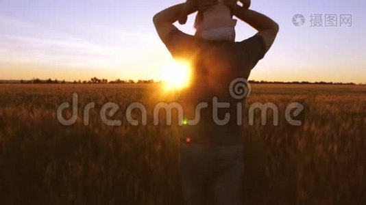 爸爸带着小宝宝在金色夕阳的背景下，带着小麦在田野里跳舞和欢笑。视频