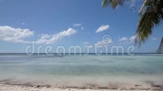 蓝海地平线背景和棕榈树枝在夏季海滩时间推移视频