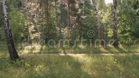 一个中年男人，做运动。 他在森林里跑来跑去，追求健康的生活方式。 夏日阳光明媚。视频