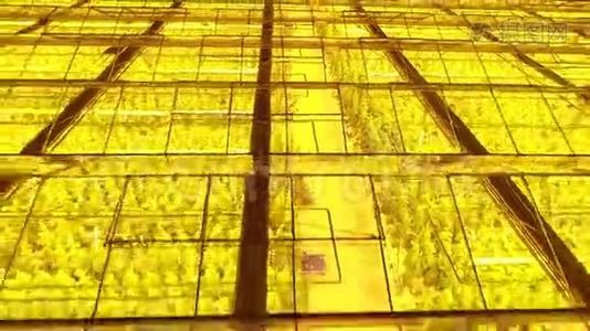 现代温室的玻璃屋顶被里面的灯点亮视频