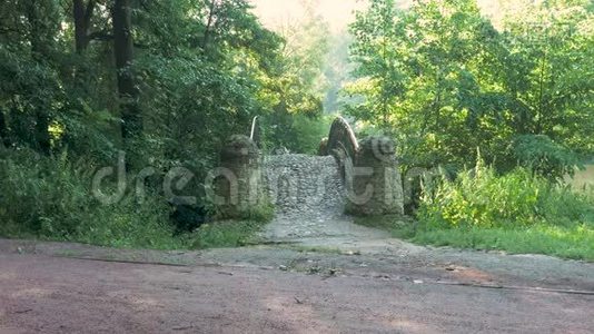 夏天一个男人在公园里跑来跑去。 他跑过桥视频